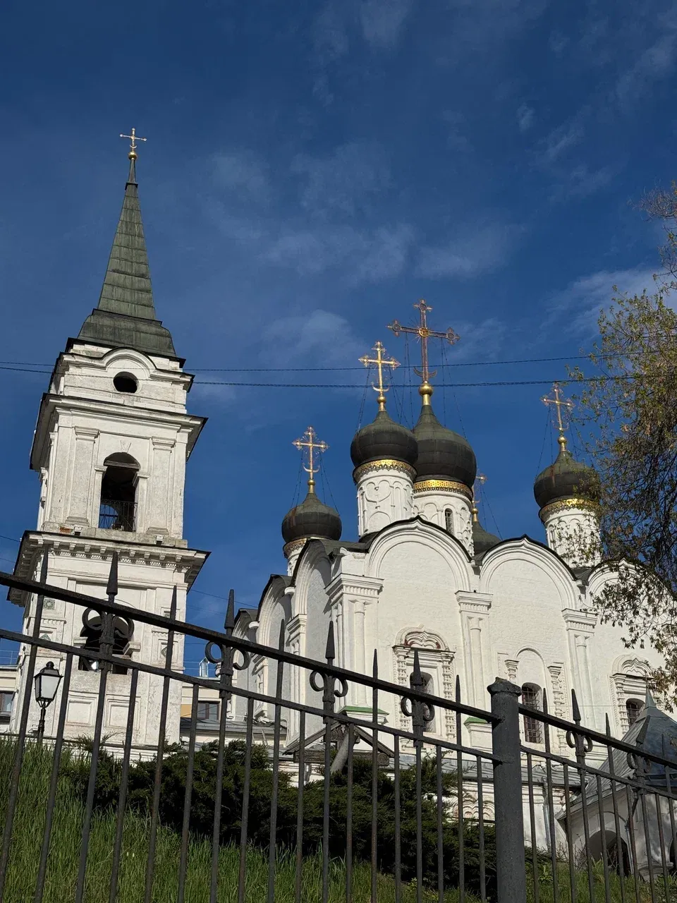 Храм князя Владимира в Старых Садех