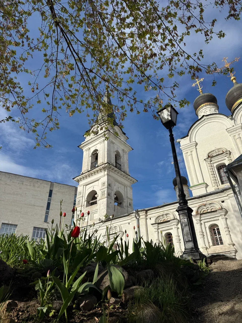 Храм князя Владимира в Старых Садех